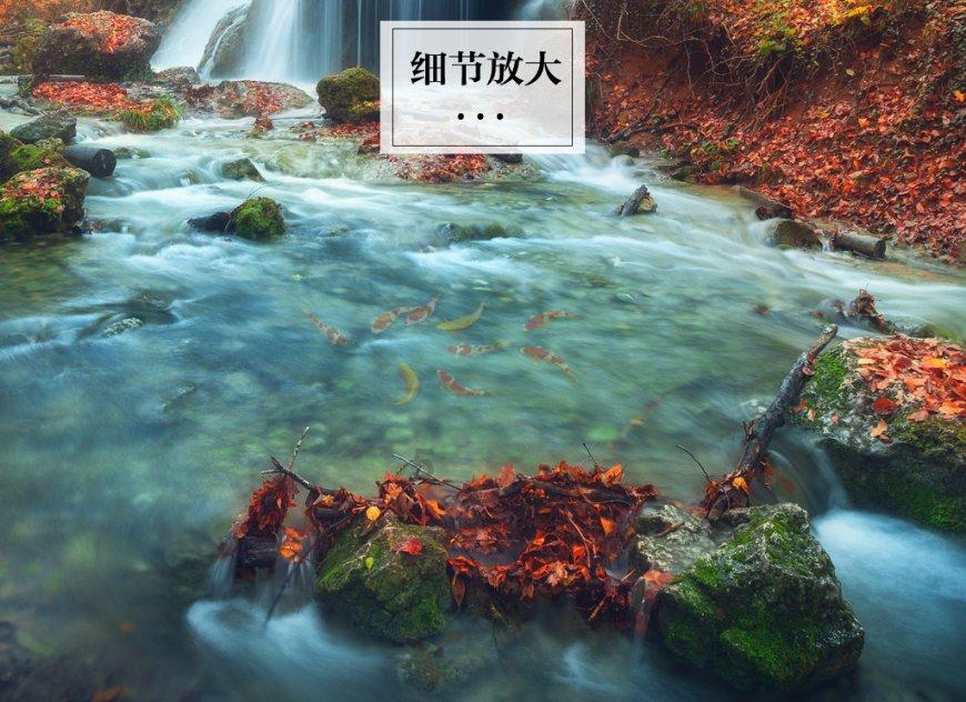 税惠护航 “一对一”“点对点”助企扬帆实行