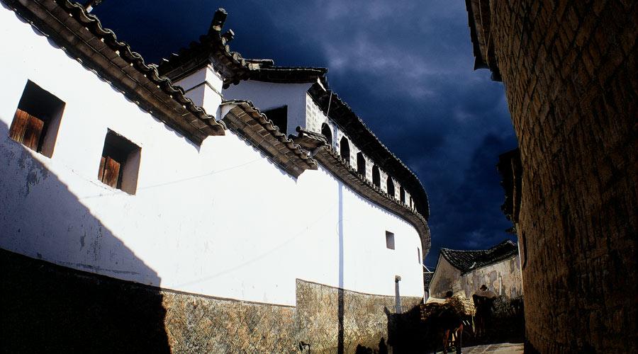 小僵尸射飞鸟